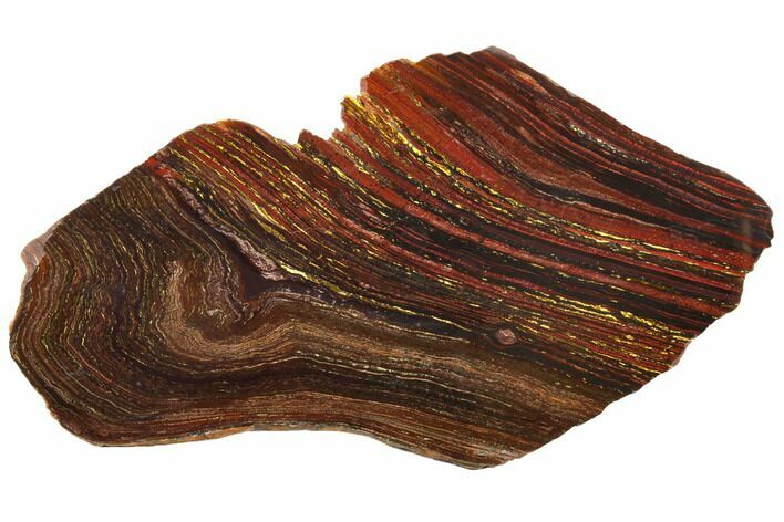 Polished Tiger Iron Stromatolite - Billion Years #129322